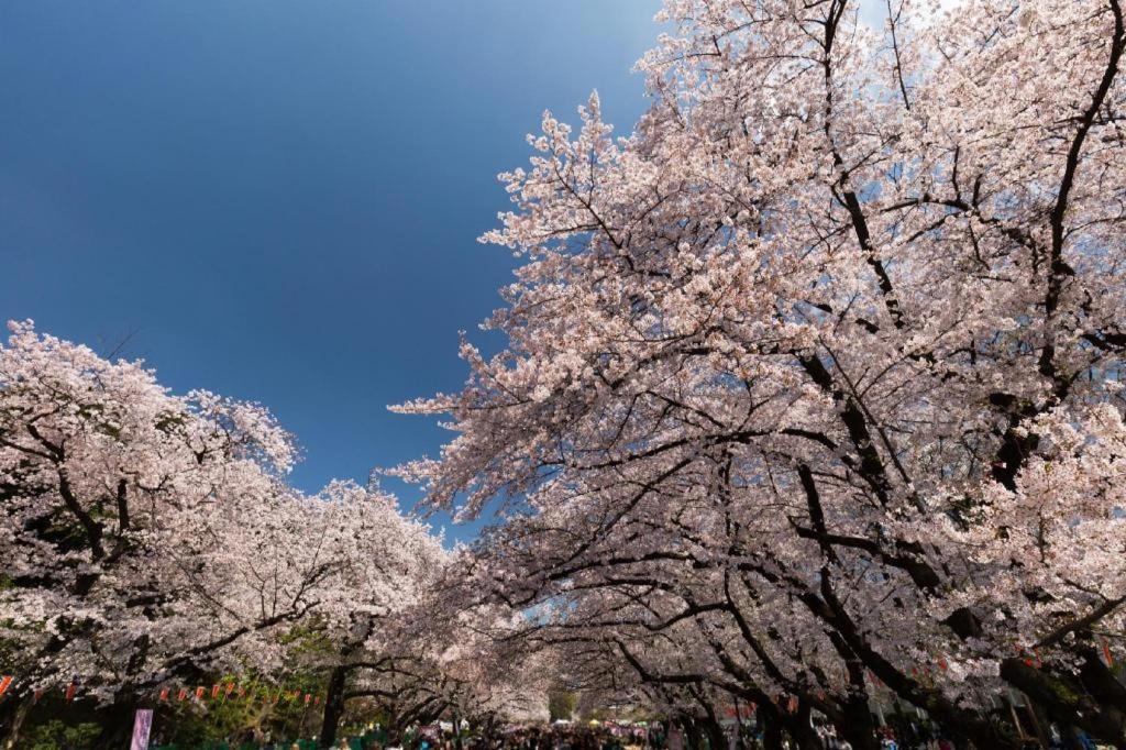 ホテルブーゲンビリア三ノ輪 東京都 エクステリア 写真